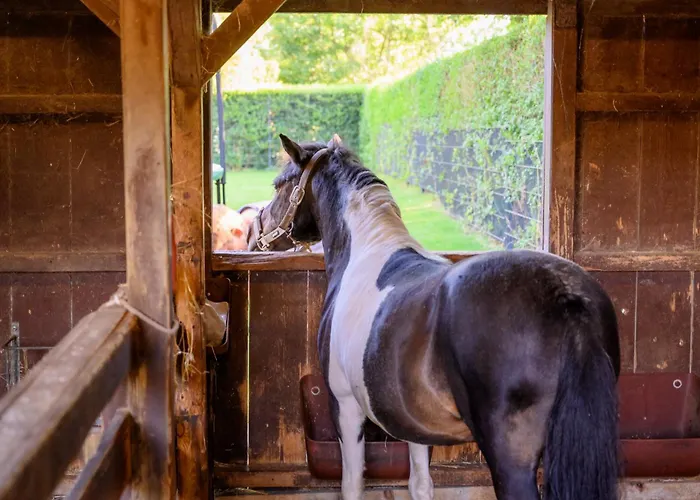 3, Bauernhof Hopp Vadersdorf *