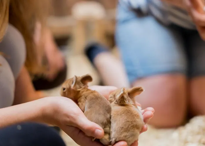 3, Bauernhof Hopp Vadersdorf Fehmarn